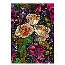 Puzzle 1000 Standard Flowers 4 5902277367877 (1).webp