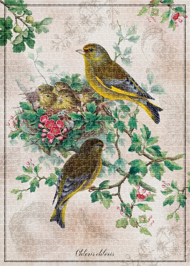 Puzzle 1000 Birds 2 Chloris Chloris 5902277405180 plansza 72ppi.webp