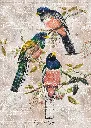 Puzzle 1000 Birds 4 Trogon Variegatus 5902277405203 plansza 72ppi.webp