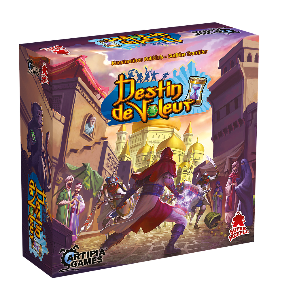 DESTIN DE VOLEUR (DS)