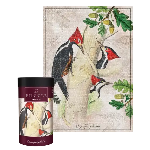 [04097] INTERDRUK - PUZZLE 1000 - BIRDS 3