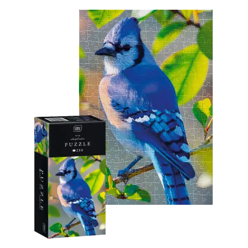 [04150] INTERDRUK - PUZZLE 250 - COLOURFUL NATURE 14